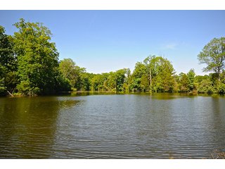 Property photo 79 - LAND AUCTION - 604+/- ACRES OFFERED IN 24 TRACTS IN MORGAN COUNTY, INDIANA